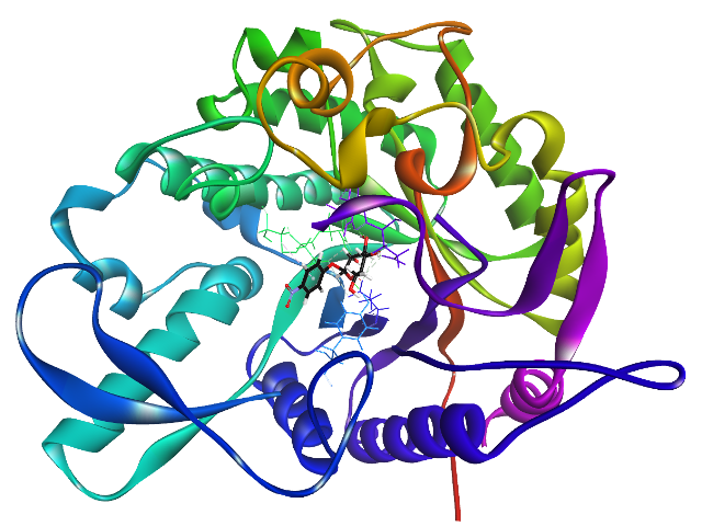 Structure of BglB.